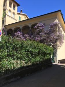 Zahrada ubytování Palazzo Ronchelli