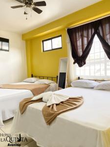 1 dormitorio con 2 camas y ventana en Hotel Quinta Avenida, en San José