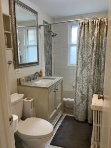 a bathroom with a toilet and a sink and a mirror at Sunny 2 BR Apartment west of Chicago in quaint Forest Park center in Forest Park