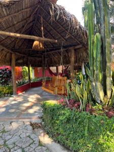 a patio with a straw umbrella and a cactus at Casa Grimaldo in Valle de Anton