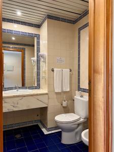 uma casa de banho com um WC, um lavatório e um espelho. em Estremoz Hotel em Estremoz