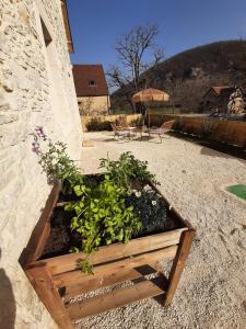Fotografia z galérie ubytovania P'tit cocon au cœur du Lot avec piscine v destinácii Dégagnac