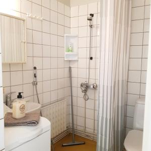 a bathroom with a shower and a sink at Tilava kolmio keskustassa in Ylivieska