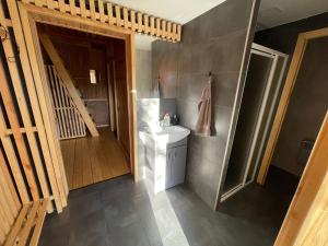 a bathroom with a sink and a toilet in a room at Holiday house with sauna in Cēsis