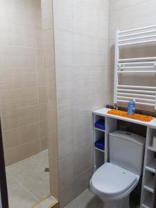 a bathroom with a toilet and a shower at Seaside Apartments Batumi zurab gorgiladze street 96 2 th floor in Batumi