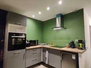 a kitchen with green walls and a counter top at Les Studios De Flo' : The Bel'Factory 38 m² WIFI in Belfort