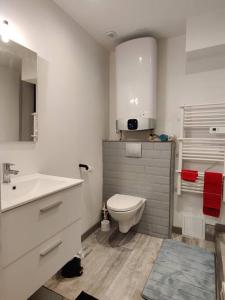 La salle de bains blanche est pourvue de toilettes et d'un lavabo. dans l'établissement Les Studios De Flo' : The Bel'Factory 38 m² WIFI, à Belfort