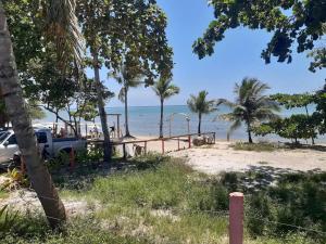 Apartamento pé na areia في بورتو سيغورو: شاحنة متوقفة على شاطئ به أشجار النخيل والمحيط