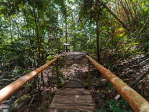 un puente de madera en medio de un bosque en Tree Houses Hotel Costa Rica en Florencia