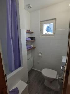 a small bathroom with a toilet and a window at 1 Bedroom Apartment in Capolago in Maloja