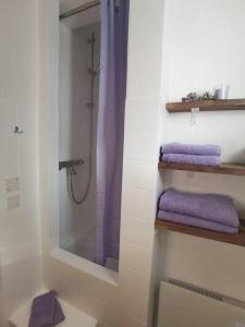 Um banheiro em 1 Bedroom Apartment in Capolago