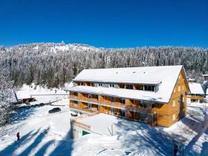 Το Wiesenquell Apartment Feldberg τον χειμώνα