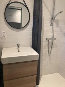 a bathroom with a sink and a mirror and a shower at T3 indépendant avec jardin in Saint Malo