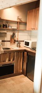 eine Küche mit einer Spüle und einer Mikrowelle in der Unterkunft Cocon en face du Grands Montets in Chamonix-Mont-Blanc