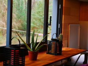 a wooden table with a potted plant on top of a window at Tiny house ocean in Naujac-sur-Mer