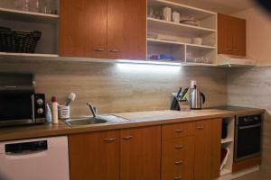 a kitchen with wooden cabinets and a sink at Chata Větrník u Černého dolu v Krkonoších in Lauterwasser