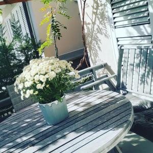 Balkón nebo terasa v ubytování Cosy home Lalëz Durrës