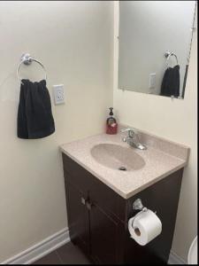 a bathroom with a sink and a mirror at Cozy & Spacious Suite with Private Bathroom near Toronto Airport ! in Mississauga