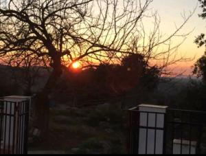 einen Sonnenuntergang auf einem Feld mit einem Baum in der Unterkunft Cortijo la Umbria in Villanueva de Algaidas