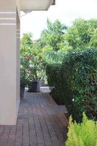 un patio con arbustos y plantas en una casa en Gamay Souterrain Apartment, near beach in Curaçao en Jan Thiel