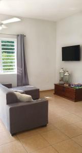 sala de estar con sofá y TV de pantalla plana en Gamay Souterrain Apartment, near beach in Curaçao, en Jan Thiel
