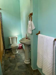 een badkamer met een wit toilet en een wastafel bij Casa Agua 