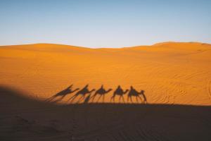 Fotografie z fotogalerie ubytování Dunes Luxury Camp v destinaci Merzouga