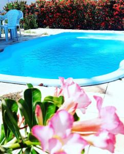 een zwembad met een stoel en roze bloemen ernaast bij Pousada dos Anjos Paracuru in Paracuru