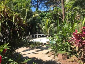 a bridge in the middle of a garden with plants at FLOR DE PARAISO BUNGALOWS in Montezuma