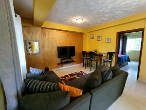 a living room with a couch and a television at Papaya Grove Mountainview Condos in Hope