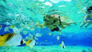a woman swimming in the water with fish at Long Beach Garden in Kampung Kuala Besut