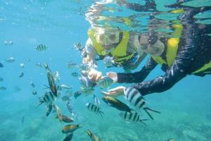 two people in the water feeding some fish at Long Beach Garden in Kampung Kuala Besut +33 photos