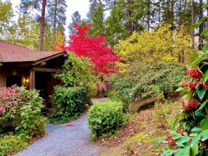 einen Weg zu einem Haus mit einem roten Baum in der Unterkunft Weasku Inn in Grants Pass