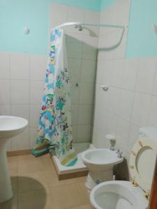 łazienka z zasłoną prysznicową i toaletą w obiekcie Departamentos El Mirador w mieście Ushuaia