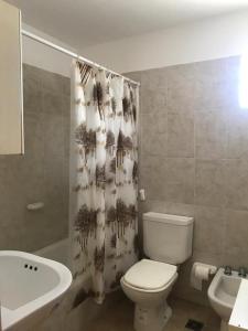 y baño con aseo y cortina de ducha. en NUEVOCENTRO 2 en Córdoba