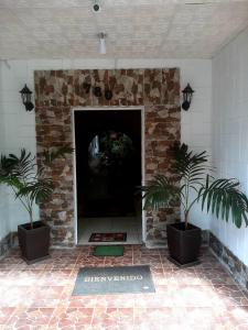a stone fireplace with two plants in front of it at Backpacker Kitara House in Tarapoto