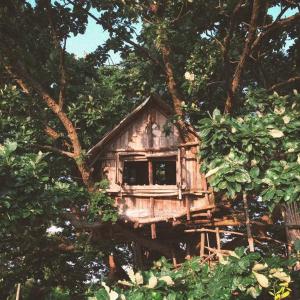 una casa sull'albero in legno al centro degli alberi di Mizuno Sang's Tree House 