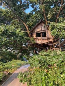 a tree house on the side of a road at Mizuno Sang's Tree House 