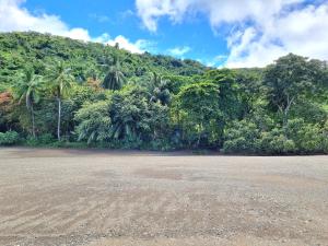 een leeg strand met bomen en een berg op de achtergrond bij Isla Cébaco in Isla Cebaco 