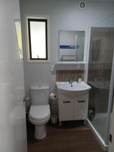 W łazience znajduje się toaleta, umywalka i lustro. w obiekcie Tranquility on Verran w Auckland