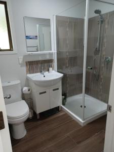 W łazience znajduje się toaleta, umywalka i prysznic. w obiekcie Tranquility on Verran w Auckland