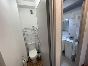 mała łazienka z toaletą i umywalką w obiekcie T2 cabine rénové, animaux admis, parking sécurisé, proche plage et port - Saint-Cyprien - FR-1-106-69 w mieście Saint-Cyprien +17 zdjęć
