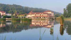a large house sitting on top of a lake at Villa Dudziak in Słubice