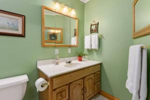 ein Badezimmer mit Waschbecken, Spiegel und Toilette in der Unterkunft Bear Essentials Hideaway in Huntsville + 94 Fotos