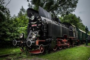 Zdjęcie z galerii obiektu Apartamenty Carskie w Białowieży