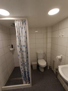 a bathroom with a toilet and a shower curtain at Pie Parka in Alūksne