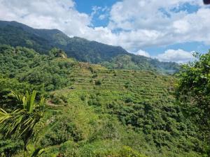 auliculiculiculiculiculiculiculiculiculiculiculiculiculiculiculic bij Rita's Homestay in Talap