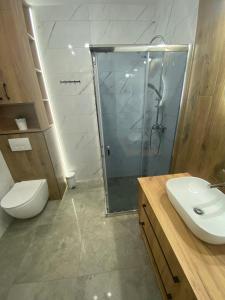 ein Bad mit einer Dusche, einem WC und einem Waschbecken in der Unterkunft Apartament Calisia in Kalisz