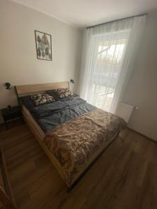 ein Bett in einem Schlafzimmer mit einem großen Fenster in der Unterkunft Apartament Calisia in Kalisz