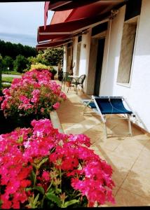 a patio with pink flowers and a table and chairs at Appartamento ORNELLO in Pietrasanta